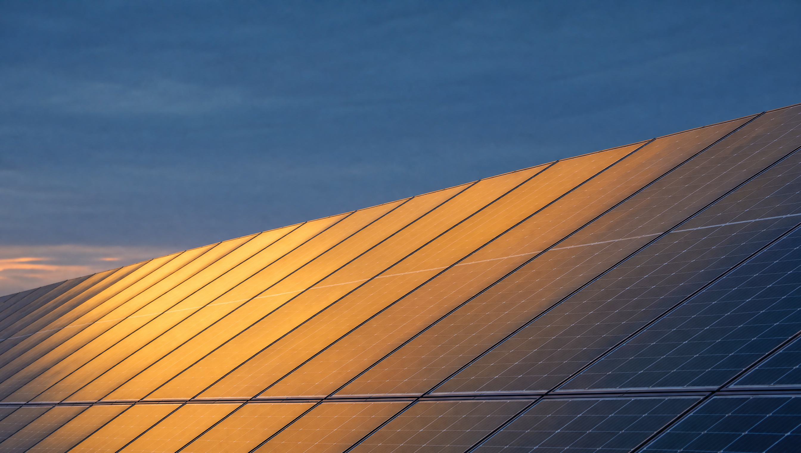Close-up of solar panels at last light, gold reflection on the array